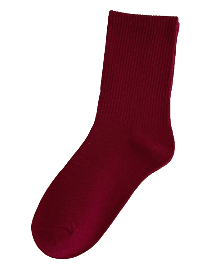 Warm Tone Socks Pizza