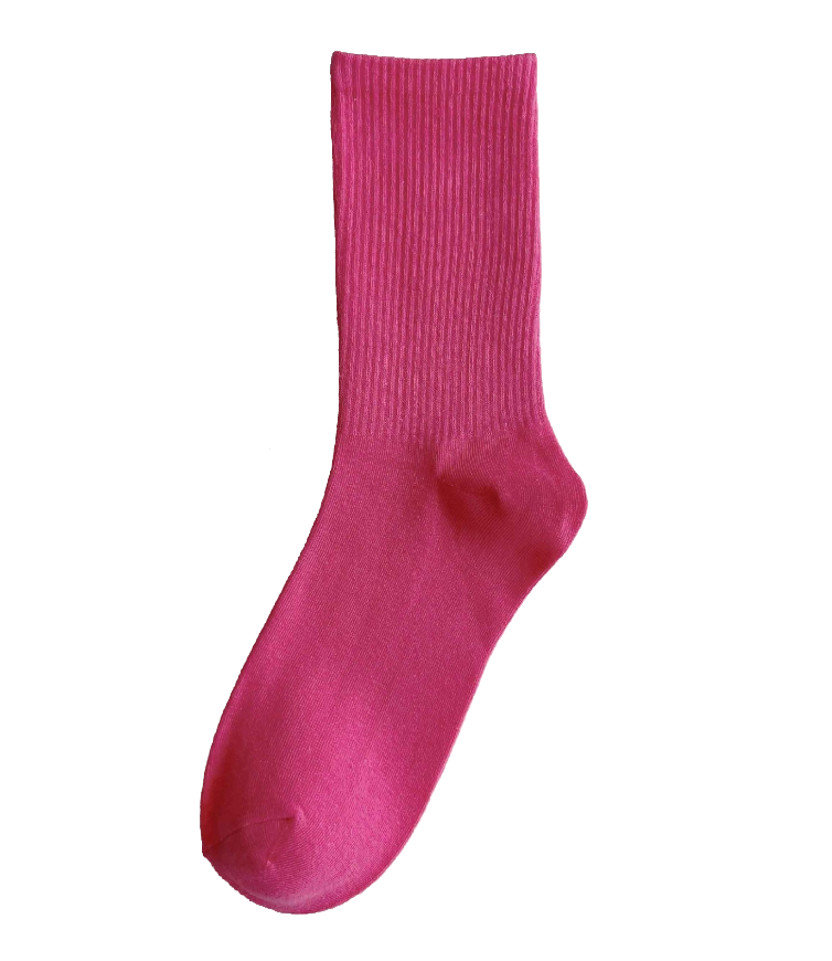 Warm Tone Socks Pizza