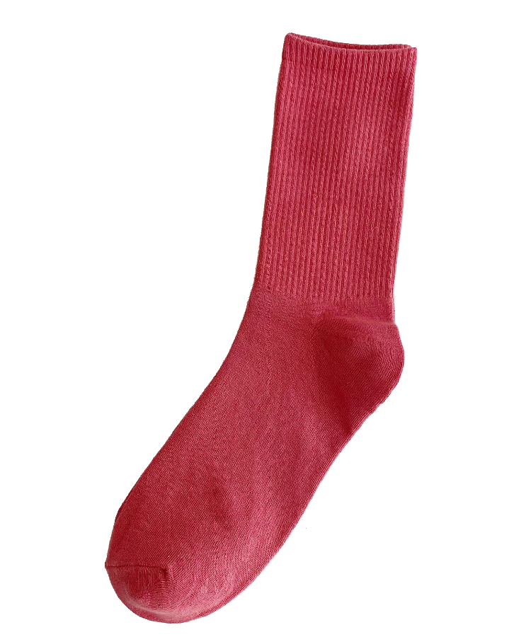 Warm Tone Socks Pizza